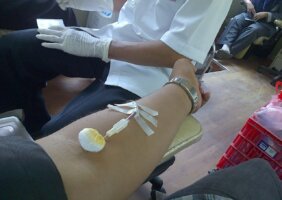Doação de Sangue e Medula Óssea – Saiba Quais são os Direitos dos Voluntários